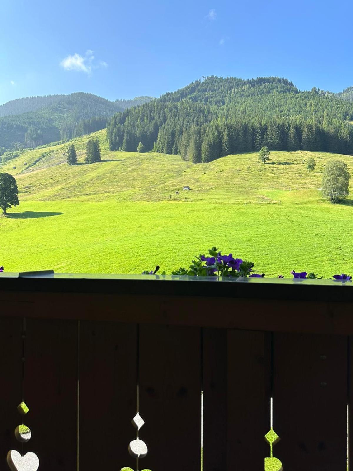 Sportpension Enzian Saalbach-Hinterglemm Exterior photo